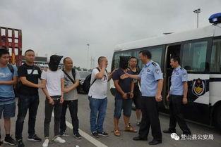 营山县被骗爆料案件最新,揭秘连环骗局，受害者心声亟待关注  第2张